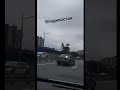 В районе Академгородка уничтожено 16 000 деревьев. Застройщик обещает потом создать дендропарк 🙈