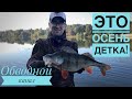 Джиговая рыбалка на обводном канале ( Киевское водохранилище, КВХ ). Рыбалка на окуня, щуку и судака