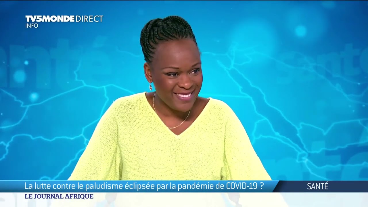 Les défis de la  lutte contre le paludisme