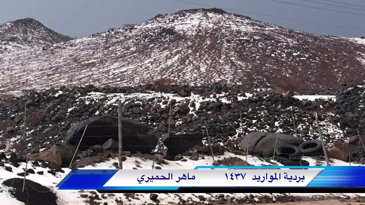 بردية المواريد  يوم الاربعاء 3-4-1437