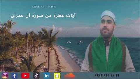 تلاوة خاشعة بصوت القارئ أنس أبوجيش | Surat Al- Imran Anas Abu Jaish