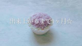 【手作りソープ】菜種油での作り方レシピ【石鹸カービング】