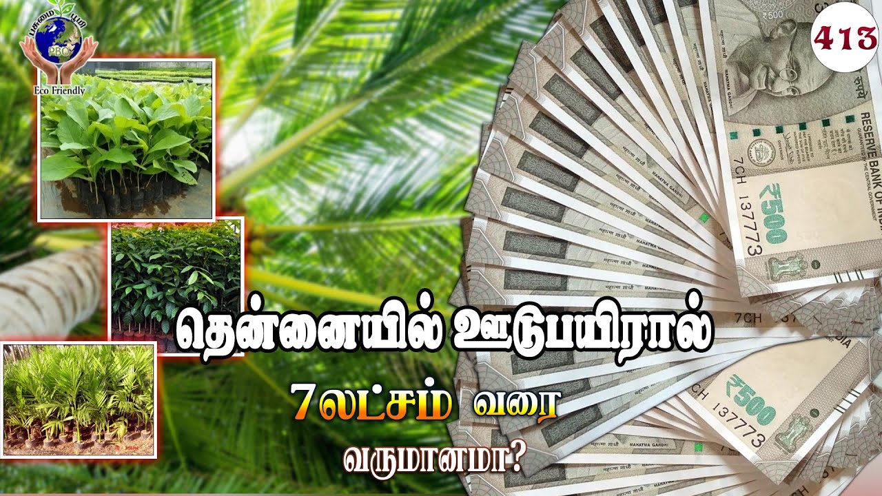 7-can-intercropping-in