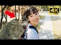 A cute Japanese girl Yuka-chan guided me around Asakusa Sumida area by rickshaw😊 | @yutin_jp 