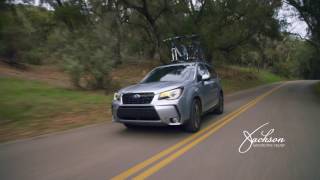 Subaru Of Macon | September Forester