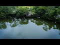 Secret locations fijirainforest eco lodge colo i suva fiji islands melodic progressive house