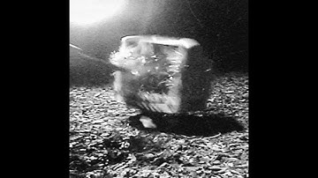 Moon Machine (Official Video)