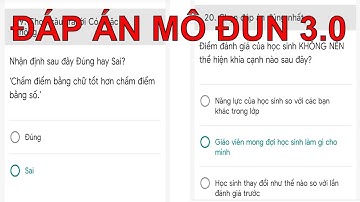 Đáp Án Câu hỏi đánh giá tổng kết Mô-đun 3 - Tổng hợp hơn 20 câu trả lời