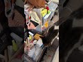 ライブハイライト