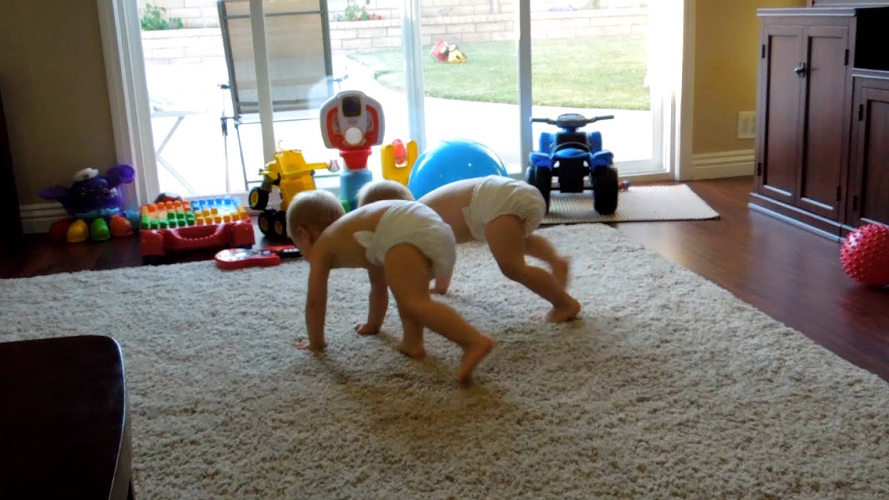Baby sumo wrestling. YouTube