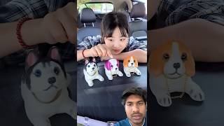 Alibaba tulas and items and amezing puppy 🐶 🥰 #shortsfeed #funny #dogs