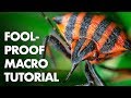 7 Foolproof Steps for a Perfect Macro Photo