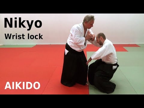 Aikido technique NIKYO against grip and strike attacks, by Stefan Stenudd, 7 dan Aikikai shihan