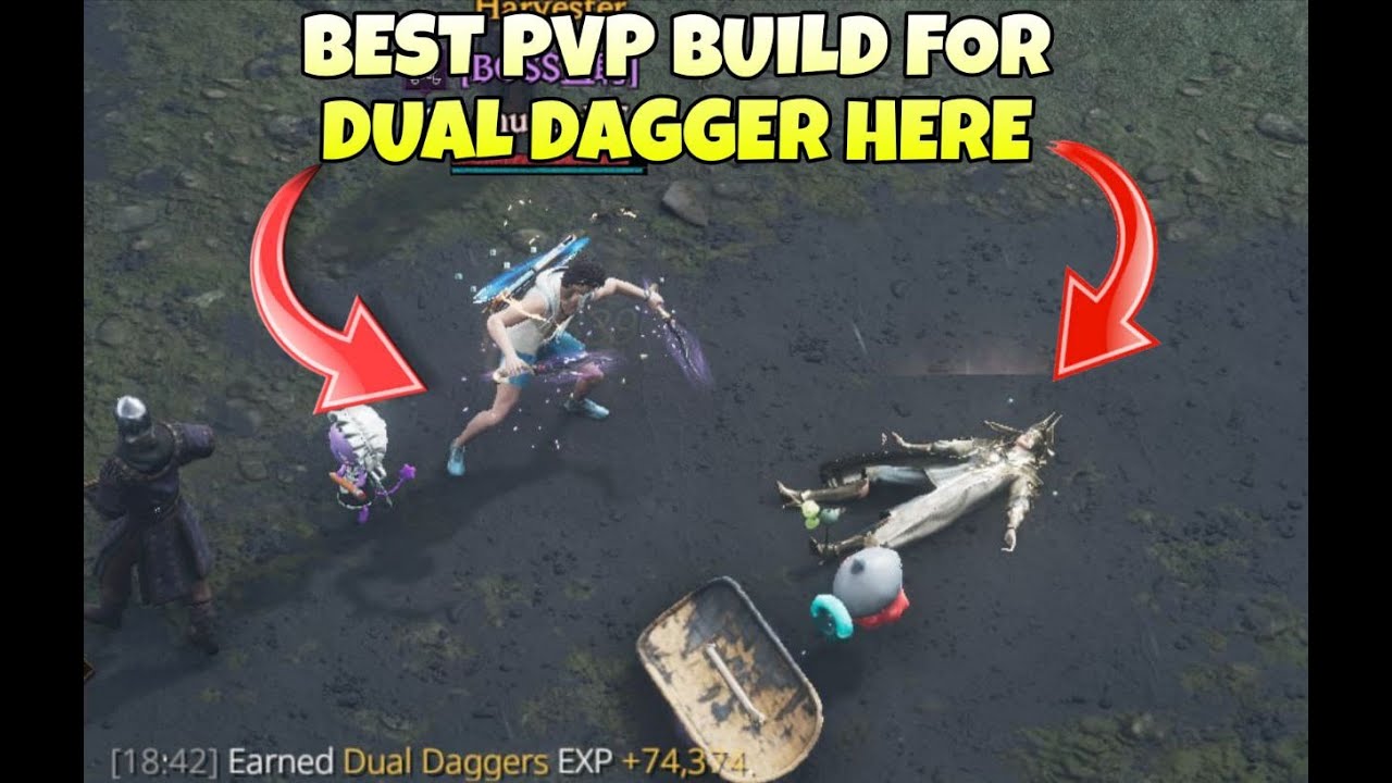 dual Dagger build For Newbies