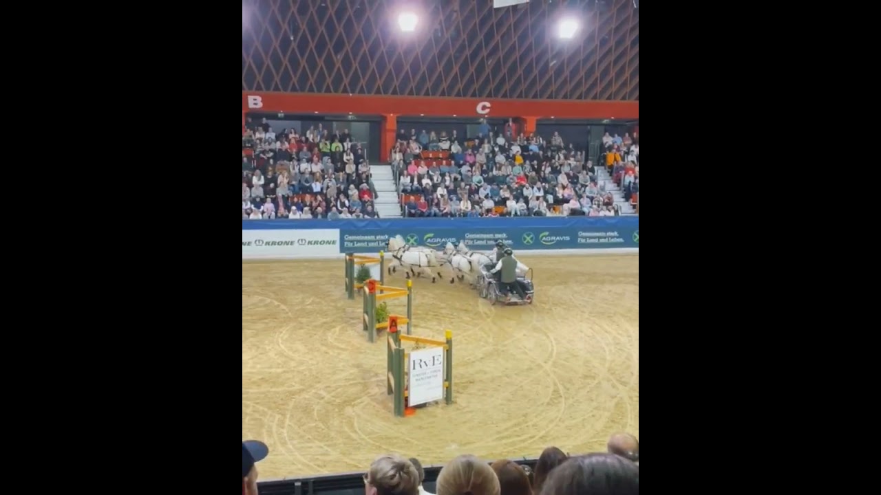 Agravis Cup Münster 2026 Vierspänner Pony Kl. S