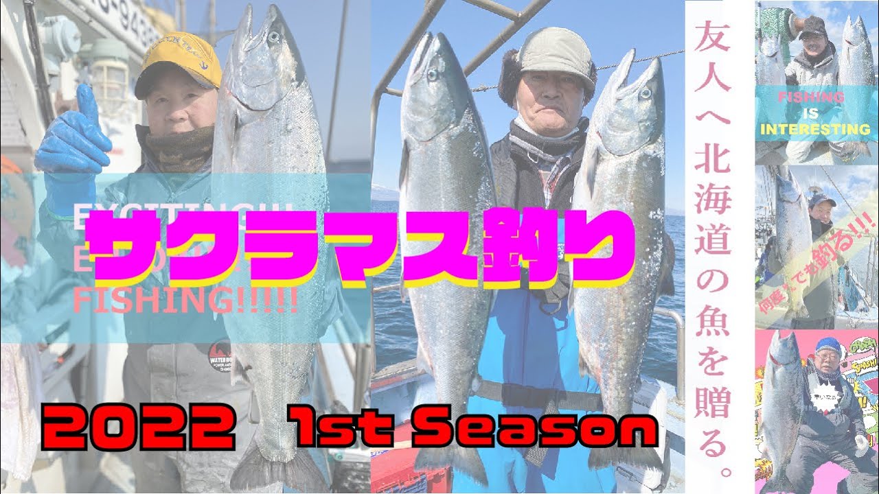 2022　サクラマス釣り　1st Season　北海道白老港　第３５末広丸