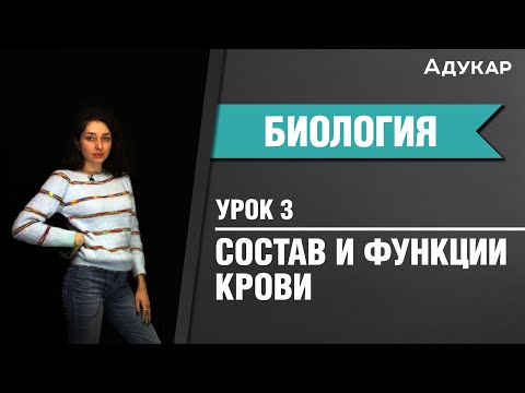 Видео: Когда была написана счетная кровь?