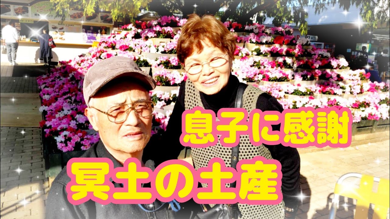 #1288【80代の元気チャンネル】栃木県あしかがフラワーパークへ。