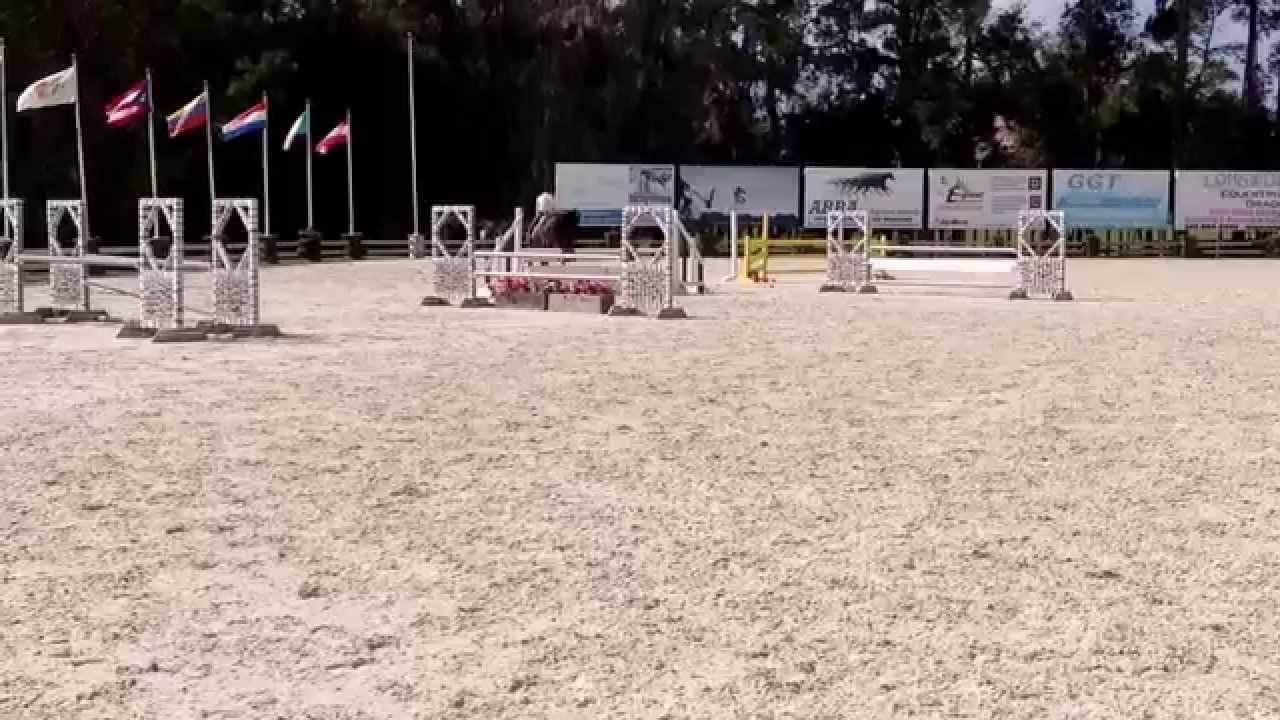 Dresden Hit Longwood Jumpers 2