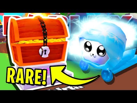 I Got The Rarest Legendary Dominus Pet In Roblox Vacuum Simulator Update 2 Youtube - i bought the new rare hat box and secret pet in roblox vacuum simulator دیدئو dideo