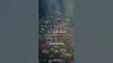 ادْعُ إِلَى سَبِيلِ رَبِّكَ بِالْحِكْمَةِ || طارق محمد || من سورة النحل