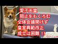 愛子天皇阻止をもくろむ 全体会議開けず 皇室典範改正 成立は困難 ! !