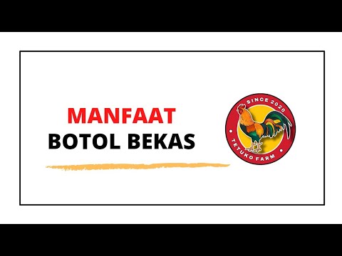  POT  BUNGA DARI BOTOL  BEKAS  MANFAAT BOTOL  AQUA  BEKAS  