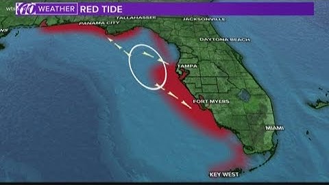 Researchers link red tide bloom to ocean currents