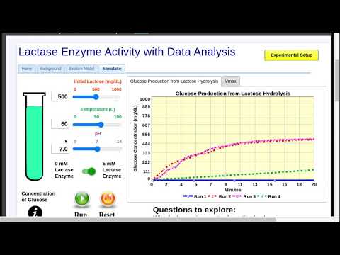 Lactase Enzyme Activity with Data Analysis Simulation