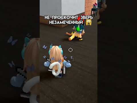 Вот теперь и кемперы подошли 😏 #а4 #roblox #вреки #рек #жиза #рофлы #мм2 #кемпер #кемперы #бригада