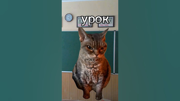 Поставил училку на место #cat #рек #sorts