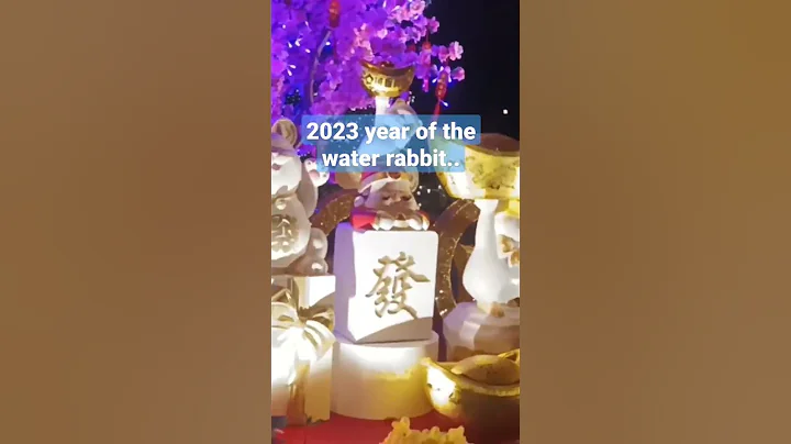 2023 year of the water Rabbit ,Chinese new year is coming ...