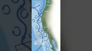 California current - Join Ocean Explorer to discover interesting information on ocean animals