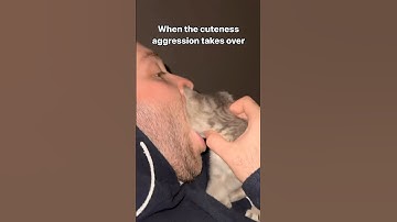 An Asteroid Destroyer Marathon