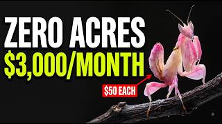 21 Animals That Pay $3,000/Month — No Land, No Barn, No Experience
