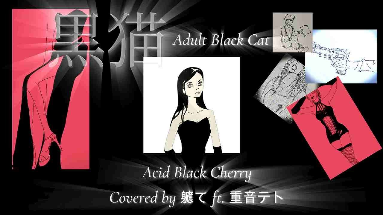ボカロCover】黒猫～Adult Black Cat～/Acid Black Cherry 【軈てft