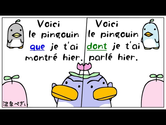 フランス語 関係代名詞 Dont と Que の違いと使い分け方 練習問題付き Youtube