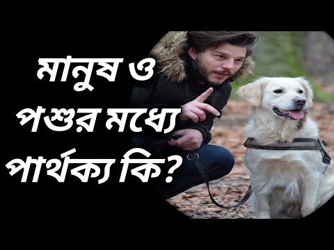 ভিডিও: গ্রহণযোগ্যতা কি