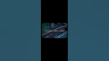 "قالوا من فعل هذا بآلهتنا إنه لمن الظالمين" | سورة الأنبياء - الآية 59 | تلاوة خاشعة #لياسر_الدوسري