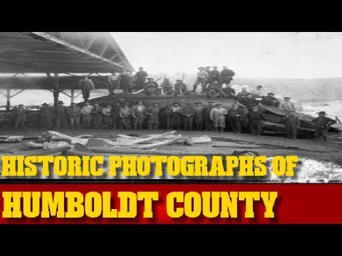 Craigslist Humboldt County California