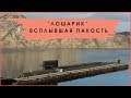 ЛОШАРИК || ИССЛЕДОВАЛИ ДНО РОССИИ