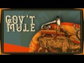 Gov't Mule, Yonder Mountain String Band & The Marcus King Band Live at Red Rocks