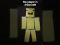 #fyp#myplayerinminecraft
