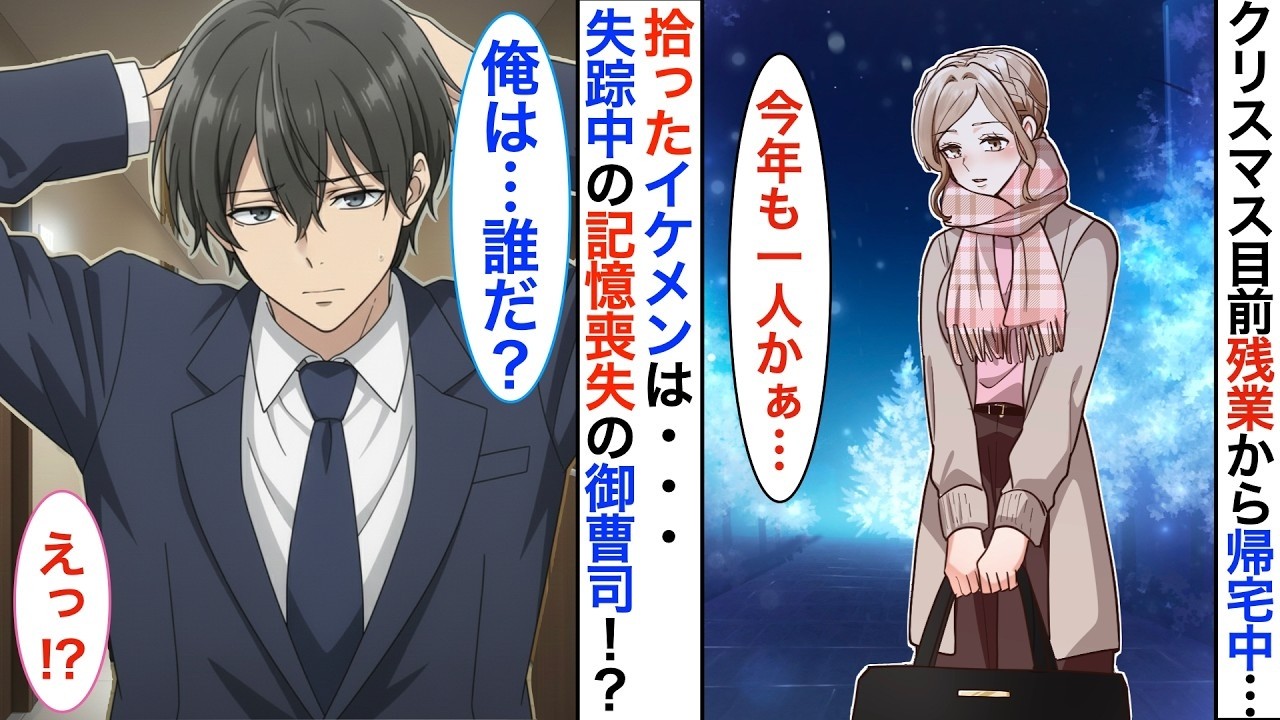 記憶喪失のイケメンを拾いました！？ブラック企業で働く私が、クリスマス目前になぜか御曹司と同棲することに➡︎彼の秘密を知った私は…【胸キュン】【恋愛漫画】【恋愛アニメ】