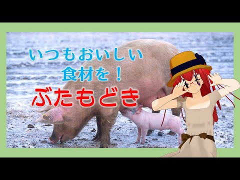 【SCP解説ではないですが】日本生類創研　製品紹介「ぶたもどき」【食育に】【好き嫌い改善に】【ゆっくり実況/ゆっくり解説でもないですね】