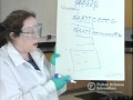 Electrophoresis applications