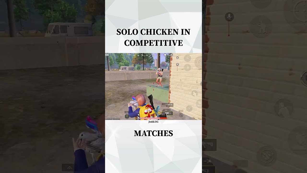 SOLO CHICKEN IN COMPETITIVE MATCHES| 