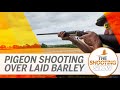 The Shooting Show - Decoying over laid barley, early season reds and pest control with an airgun