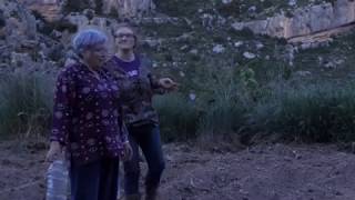 El huerto el pueblo. La siembra. Mañana amanecerá un huerto distinto.