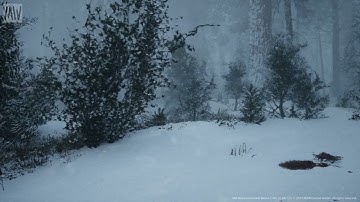 MAWI Conifer Trees Forest Biome 2